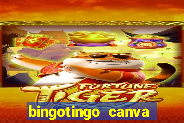 bingotingo canva pro gratis